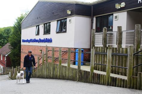 Battersea Dogs Home Brands Hatch .